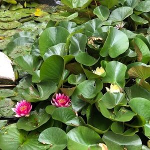 Special Bundle for @donna1616